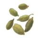 Cardamom.jpg