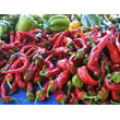 Fresh_Chile_Peppers.jpg