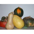 Winter_Squash.jpg