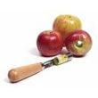 apple_corer.jpg