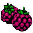 blackberry.jpg