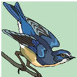 bluebird.jpg