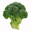 broccoli.jpg