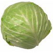 cabbage.jpg