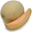 cantaloupe.jpg