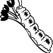 caterpillar.jpg