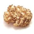 cauliflower_mushroom.jpg