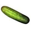 cucumber.jpg