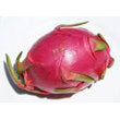 dragon_fruit.jpg