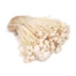 enoki_mushroom.jpg