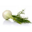 fennel.jpg