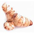 galangal.jpg