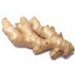 ginger_root.jpg