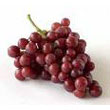 grapes.jpg