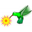 hummingbird.jpg