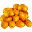 kumquat.jpg