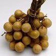 longan.jpg