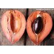 mamey_sapote.jpg