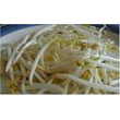 mung_bean_sprouts.jpg