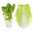 napa_cabbage.jpg