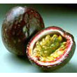 passion-fruit.jpg