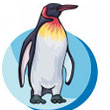 penguin.jpg