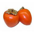 persimmon.jpg