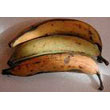 plantain.jpg