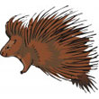 porcupine.jpg