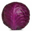 red_cabbage.jpg