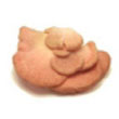 red_oyster_mushroom.jpg