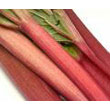 rhubarb.jpg