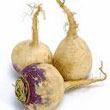 rutabaga.jpg