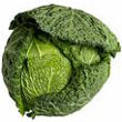 savoy_cabbage.jpg