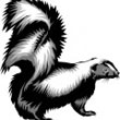 skunk.jpg