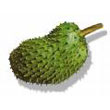 soursop.jpg