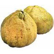 ugli_fruit.jpg