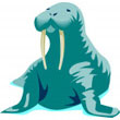 walrus.jpg